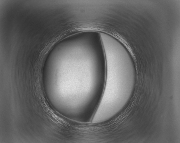 X0000084560385200702231007