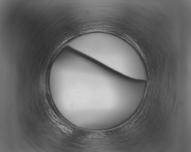 X0000084560386200702231007