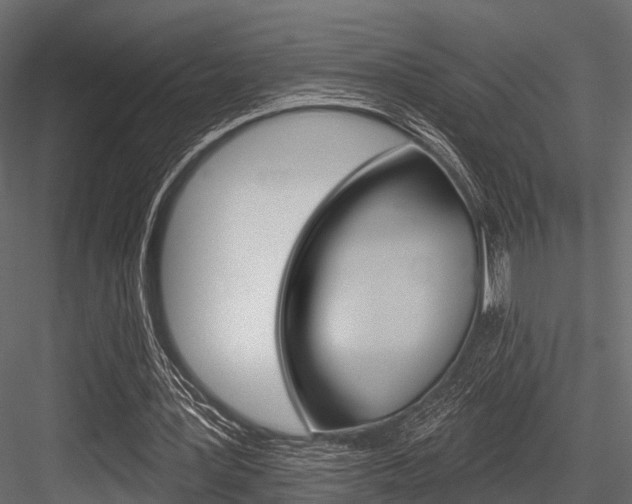 X0000084560387200702231007