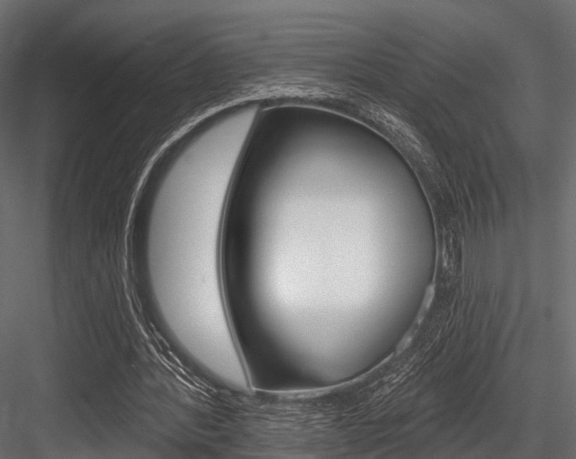 X0000084560388200702231007