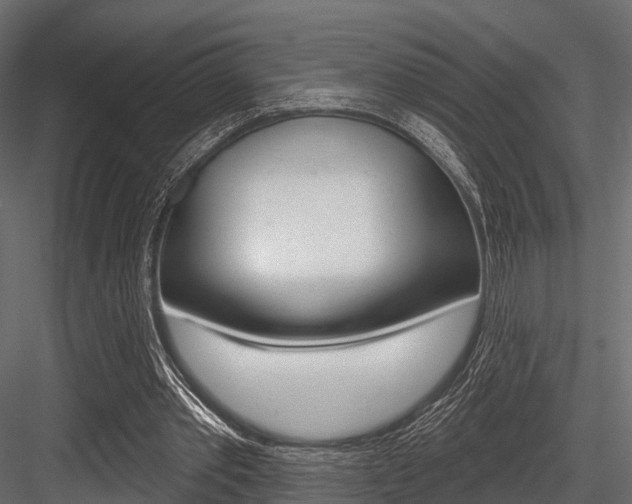 X0000084560389200702231007