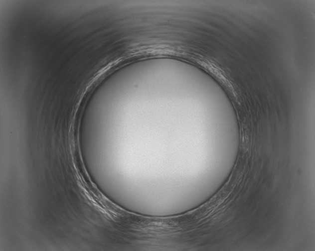 X0000084560390200702231007