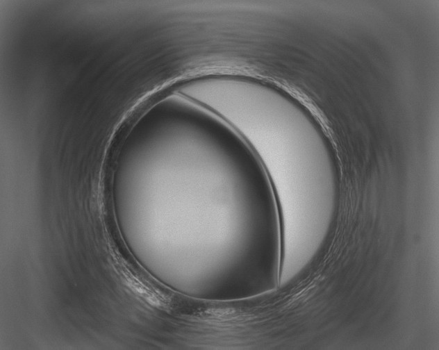 X0000084560391200702231007