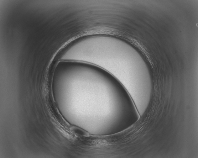 X0000084560392200702231007