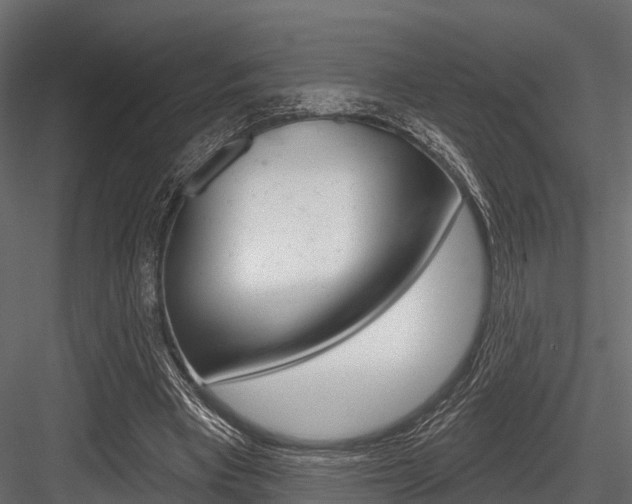X0000084560393200702231007