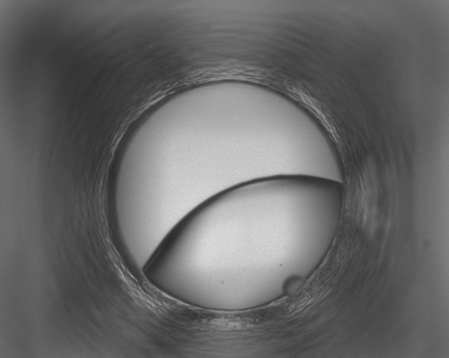 X0000084560394200702231007
