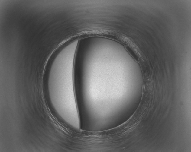 X0000084560395200702231007