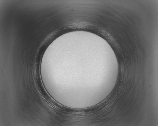 X0000084560396200702231007