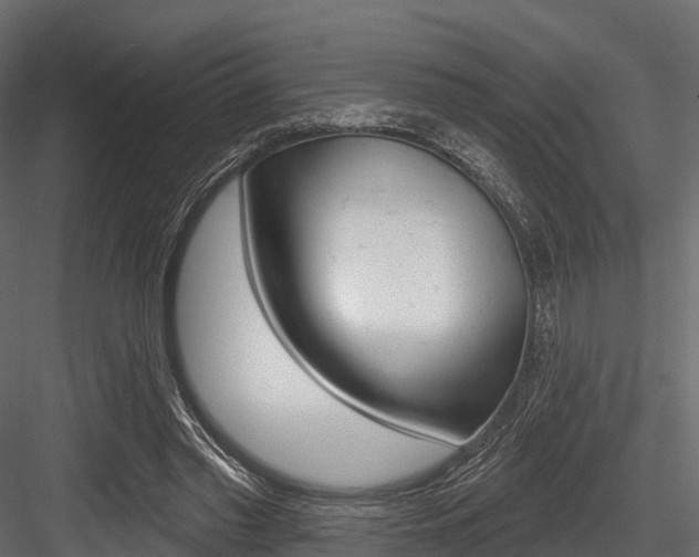 X0000084560397200702231007