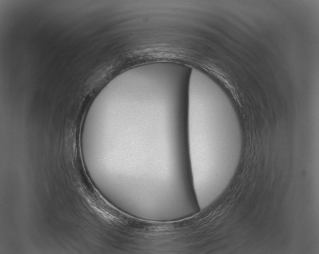 X0000084560398200702231007
