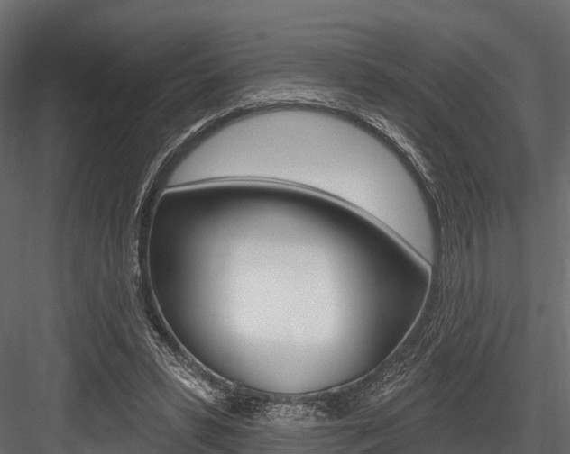 X0000084560399200702231007