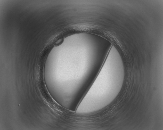 X0000084560400200702231007