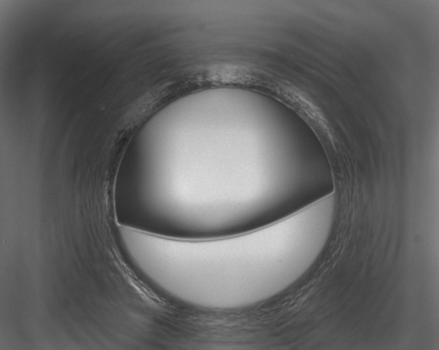 X0000084560401200702231007