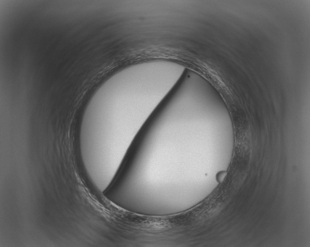 X0000084560402200702231007