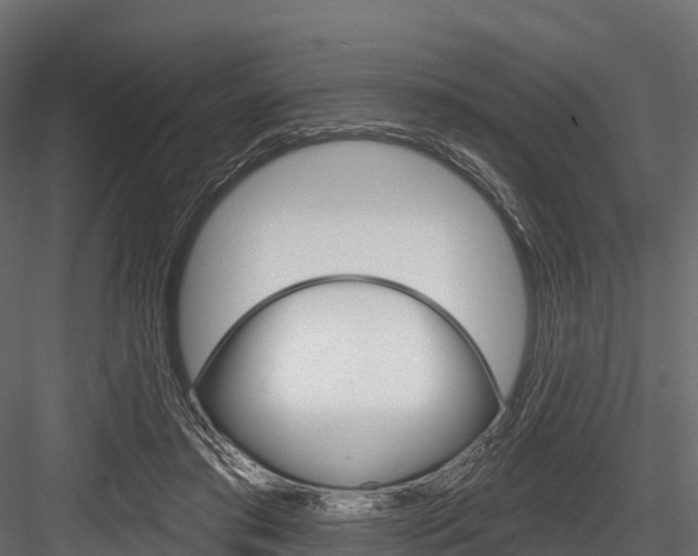 X0000084560405200702231007