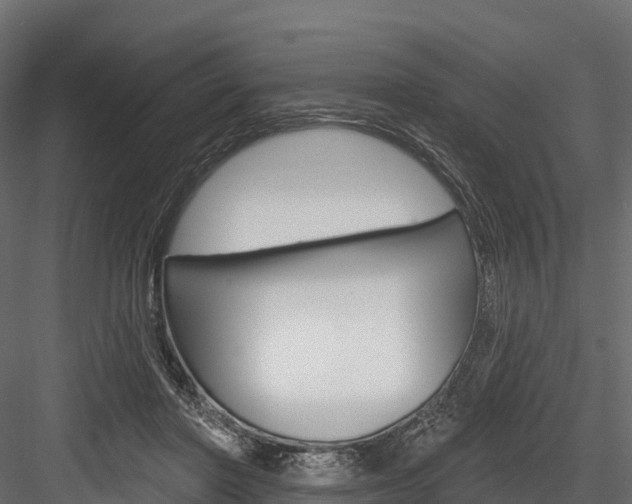 X0000084560406200702231007