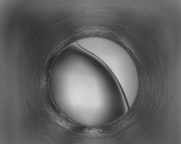 X0000084560407200702231007