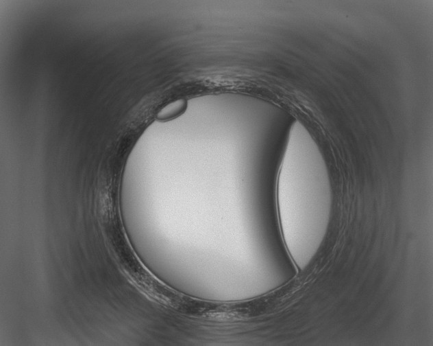 X0000084560408200702231007