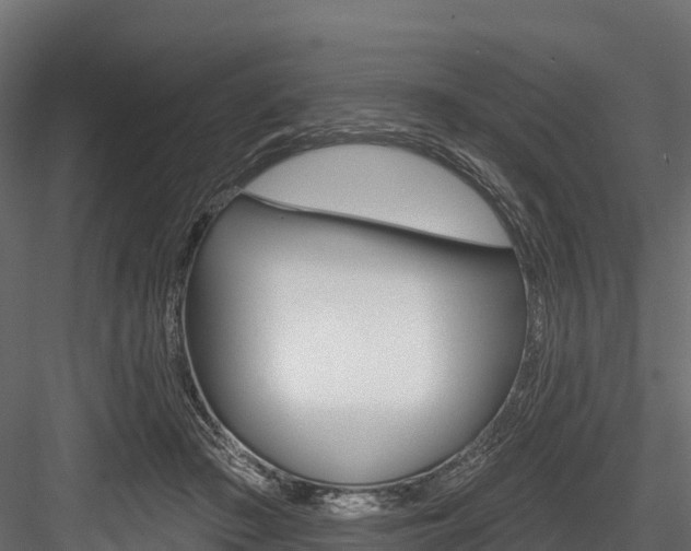 X0000084560409200702231007