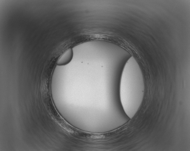 X0000084560410200702231007