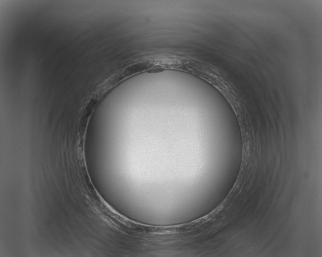 X0000084560411200702231007