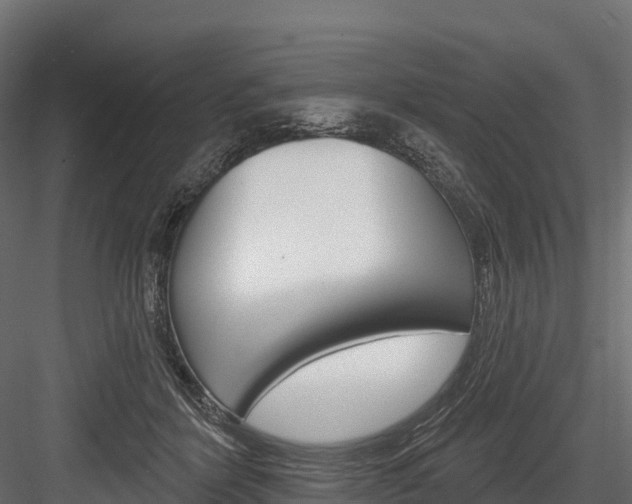 X0000084560412200702231007