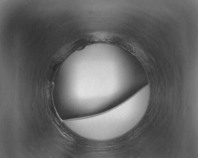 X0000084560413200702231007