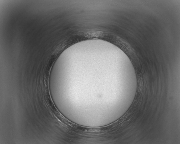 X0000084560414200702231007