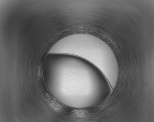 X0000084560417200702231007