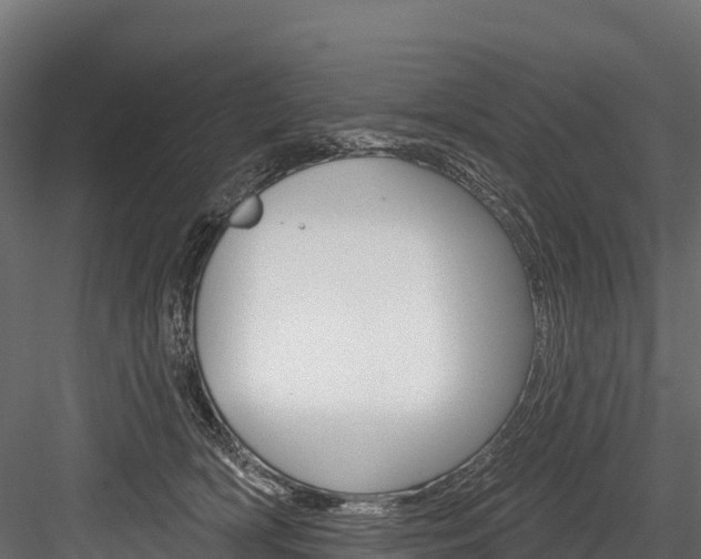 X0000084560418200702231007