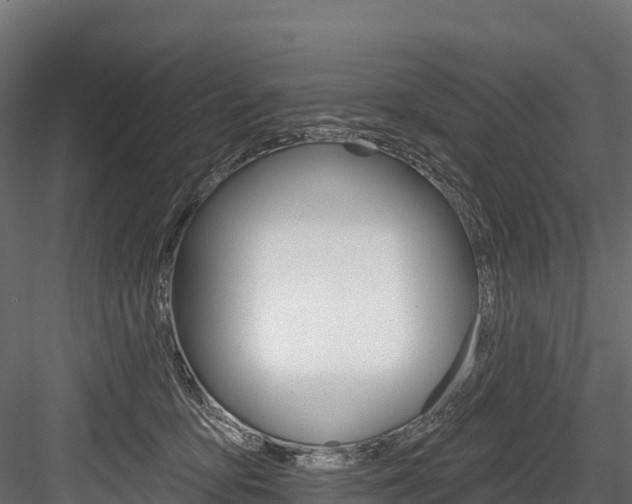 X0000084560419200702231007