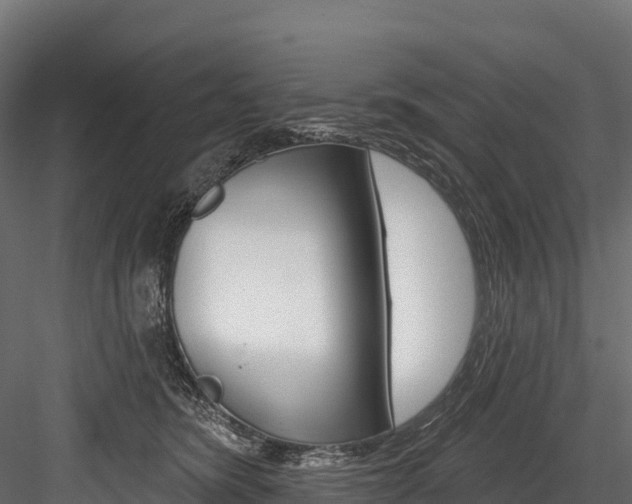 X0000084560420200702231007