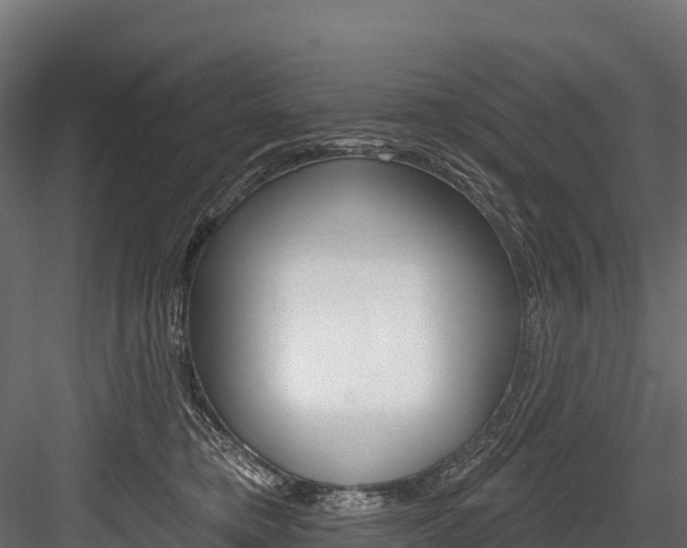X0000084560421200702231007