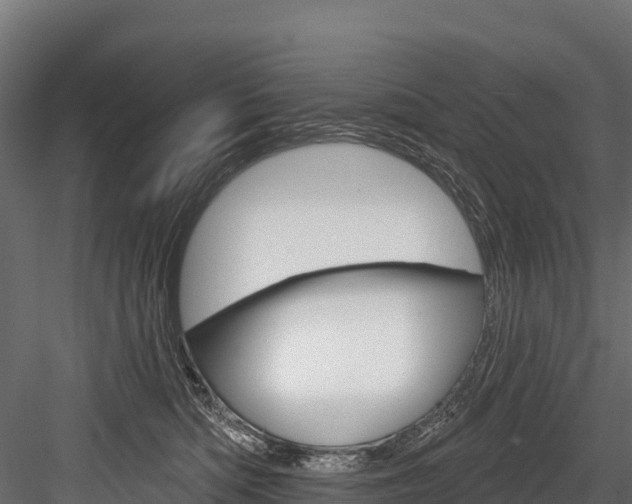 X0000084560422200702231007