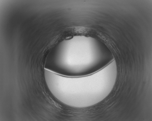 X0000084560424200702231006