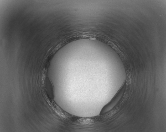 X0000084560427200702231006