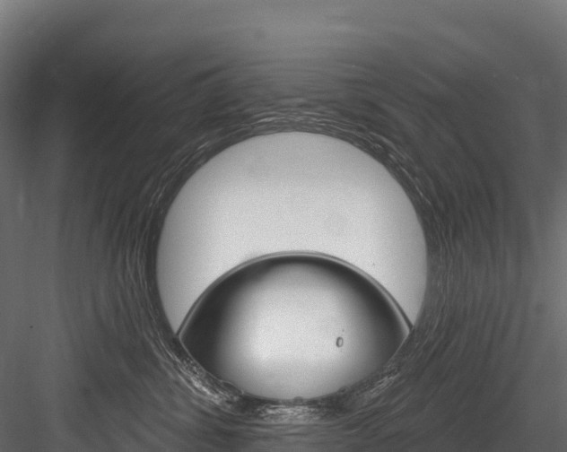 X0000084560428200702231006