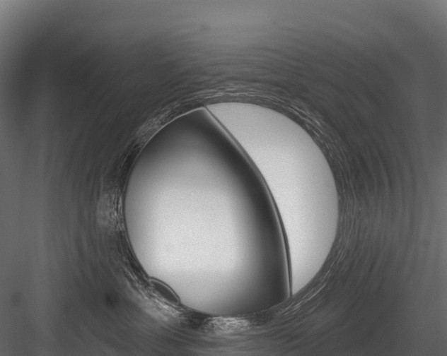 X0000084560429200702231006