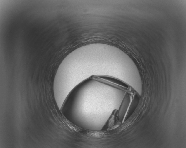 X0000084560432200702231006