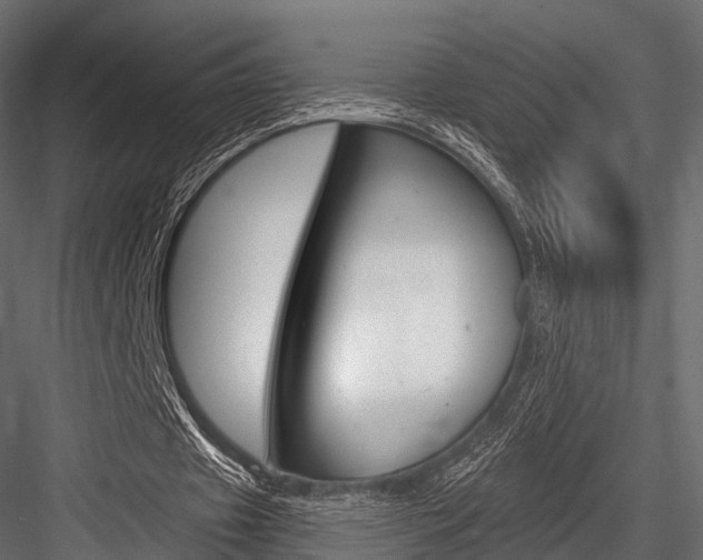 X0000084560433200702231006