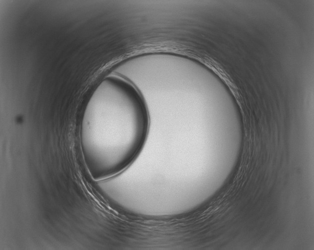 X0000084560434200702231006