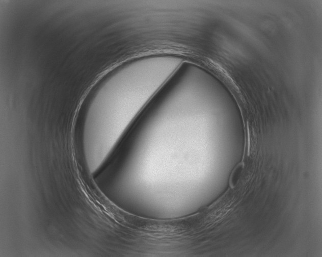 X0000084560435200702231006