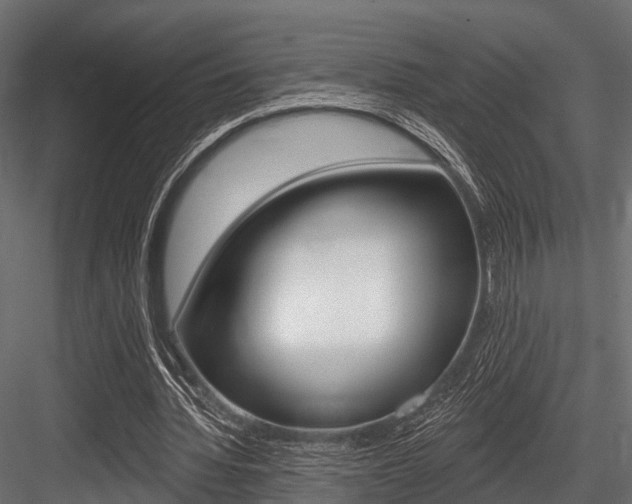 X0000084560436200702231006