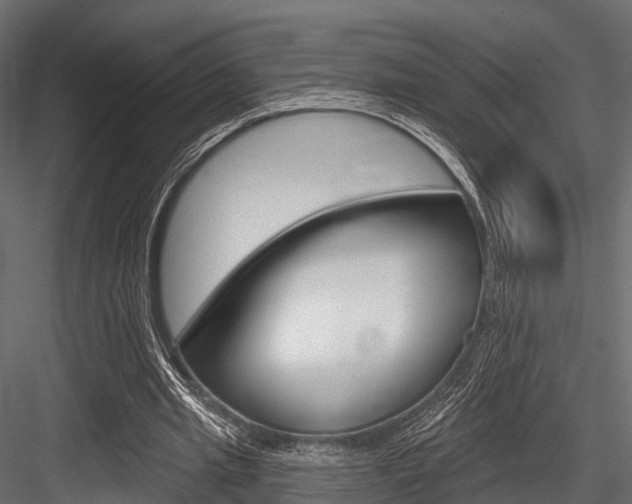 X0000084560437200702231006