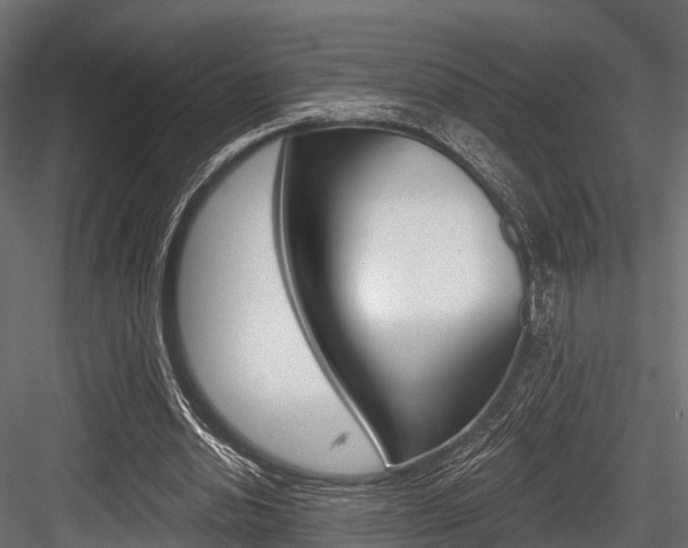 X0000084560438200702231006
