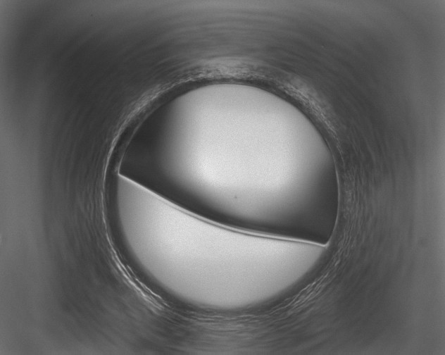 X0000084560439200702231006