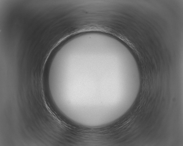 X0000084560440200702231006