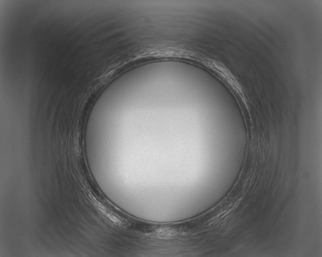 X0000084560441200702231006