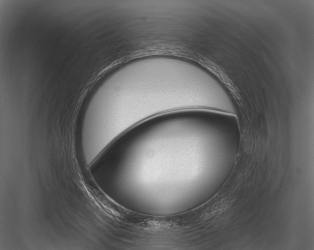 X0000084560442200702231006