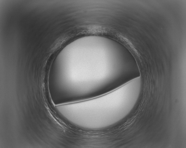 X0000084560443200702231006